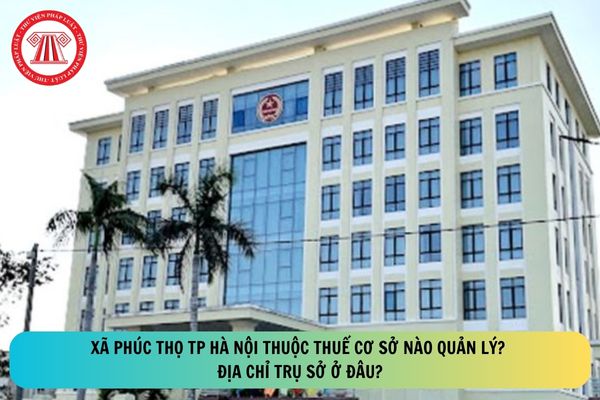 Pháp luật