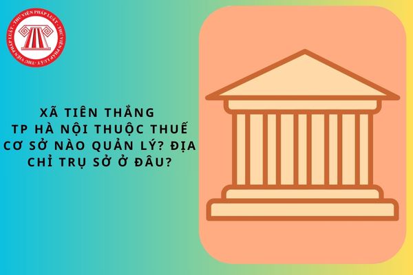 Pháp luật
