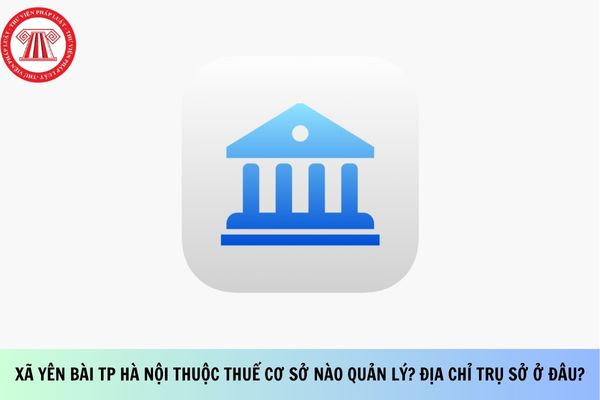 Pháp luật