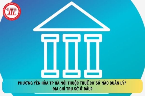 Pháp luật