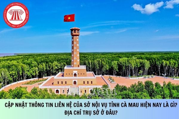 Pháp luật