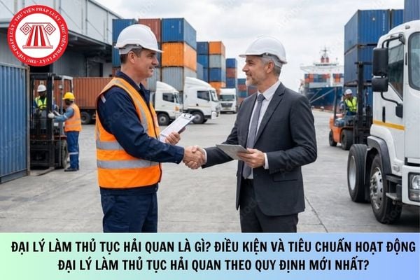 Pháp luật