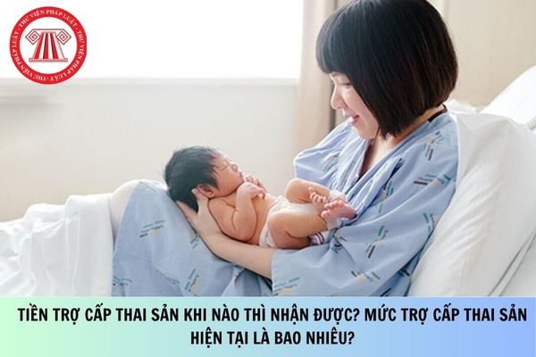 Pháp luật