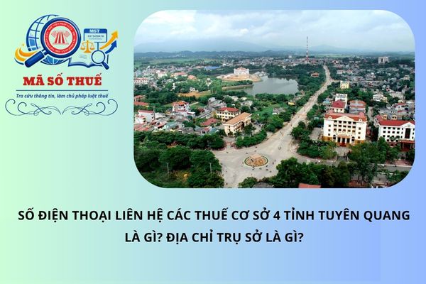 Số điện thoại liên hệ các Thuế cơ sở 4 tỉnh Tây Ninh là gì? Địa chỉ trụ sở là gì?