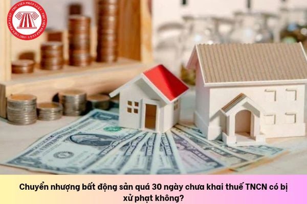 Pháp luật