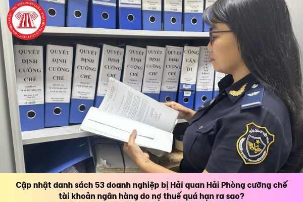 Pháp luật