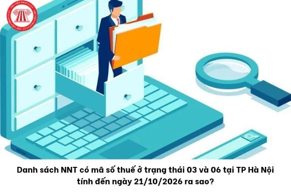 Pháp luật