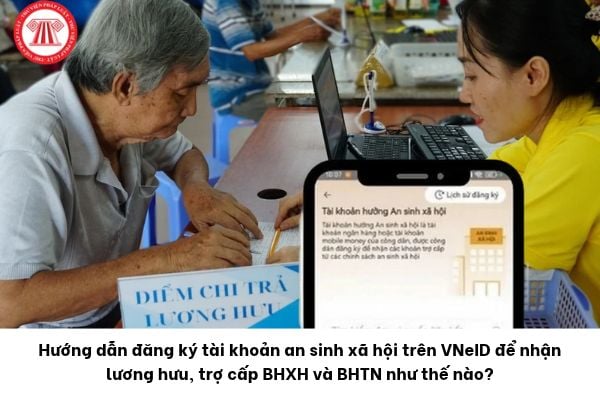 Pháp luật