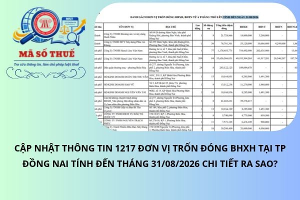Pháp luật