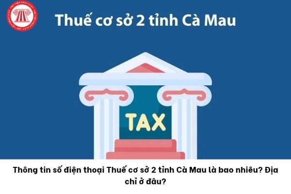 Pháp luật