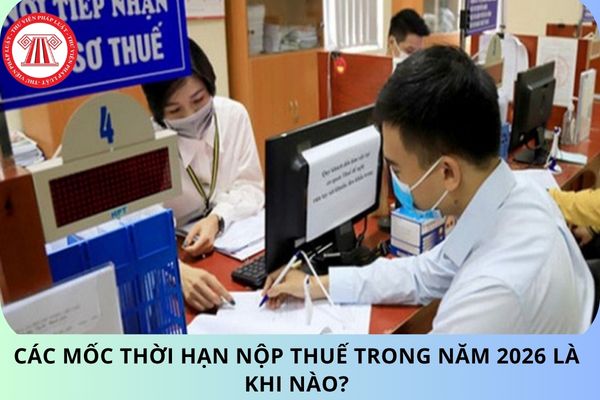 Pháp luật