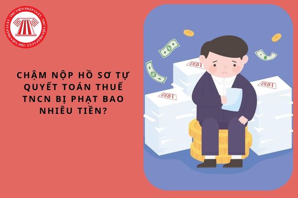 Pháp luật