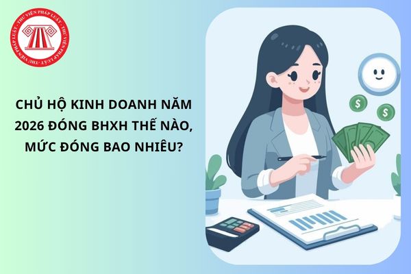 Pháp luật