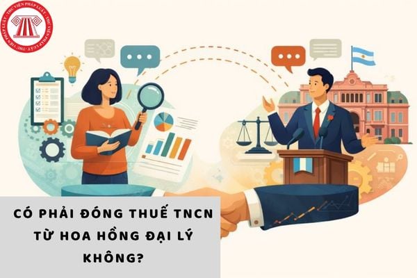 Pháp luật