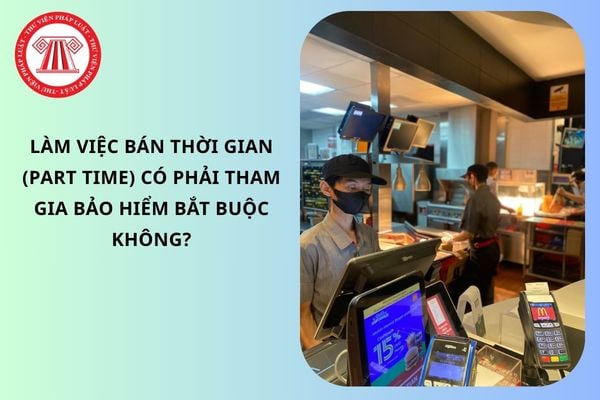 Pháp luật