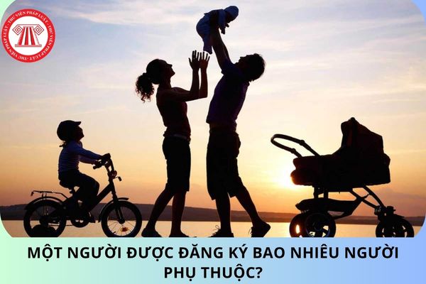 Pháp luật