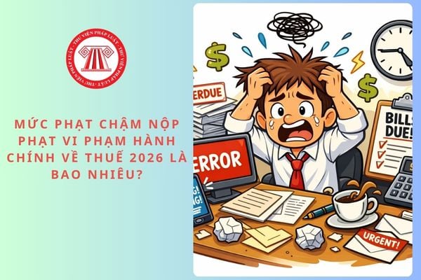 Pháp luật