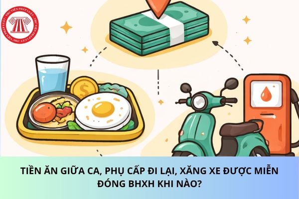 Pháp luật