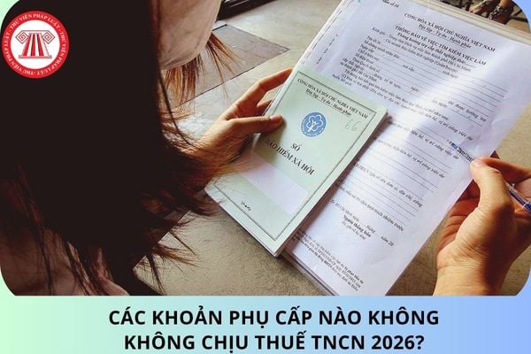 Pháp luật