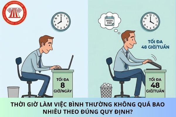 Pháp luật