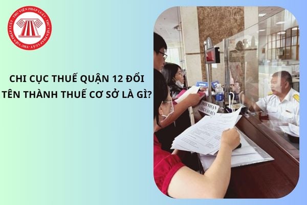 Pháp luật