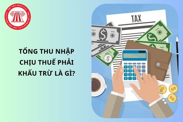 Pháp luật