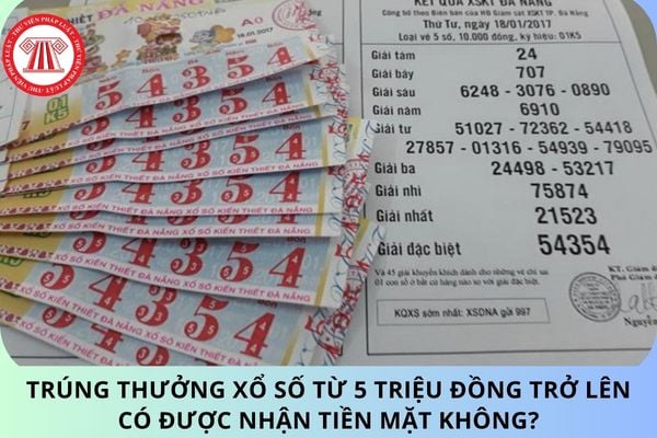 Pháp luật