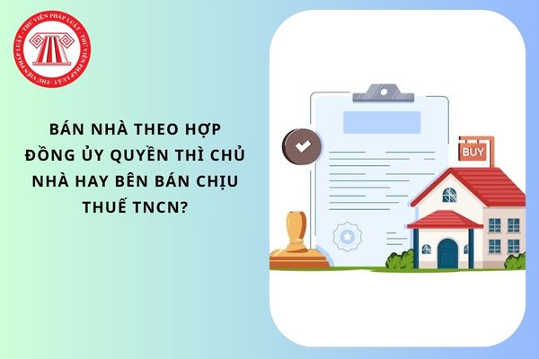 Pháp luật