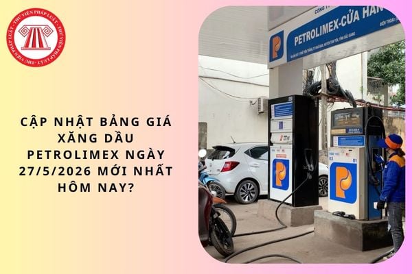 Pháp luật