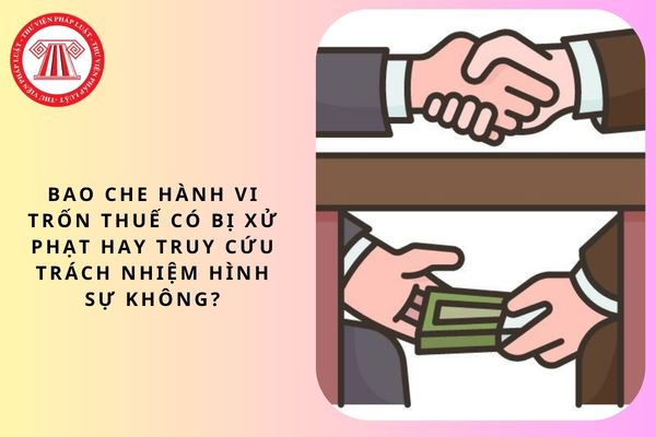 Pháp luật