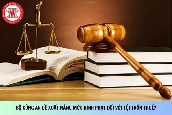Pháp luật