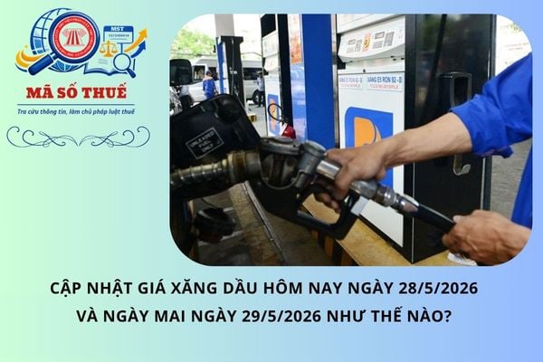 Pháp luật