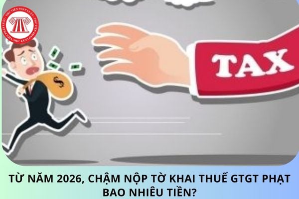 Pháp luật