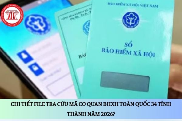 Pháp luật
