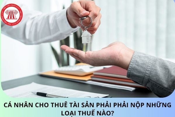 Pháp luật