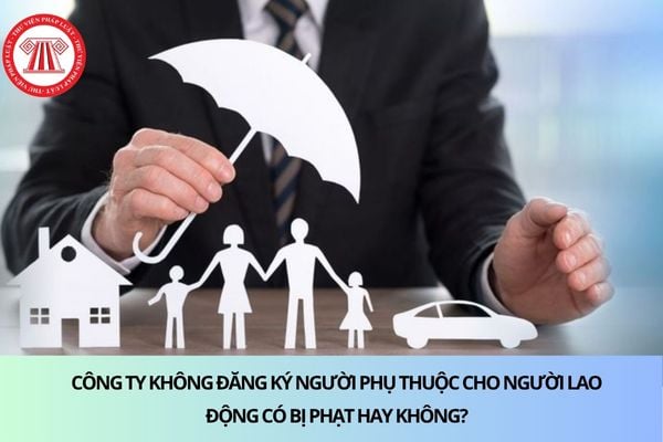 Pháp luật