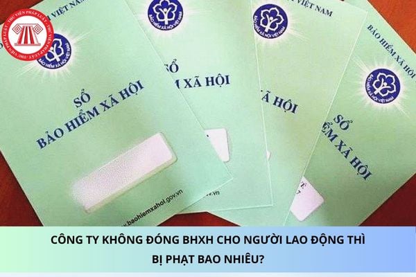 Pháp luật