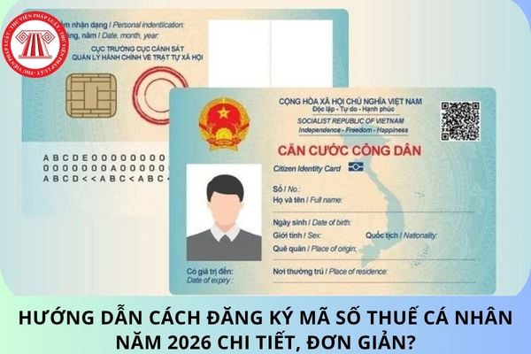 Pháp luật