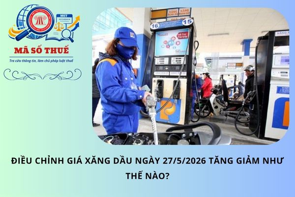 Pháp luật