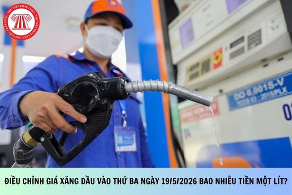 Pháp luật