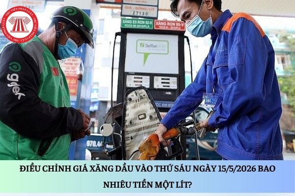Pháp luật