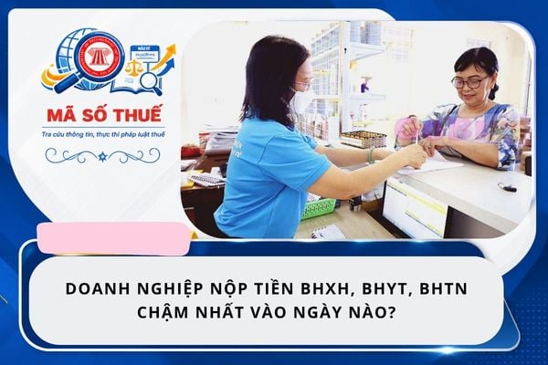 Pháp luật