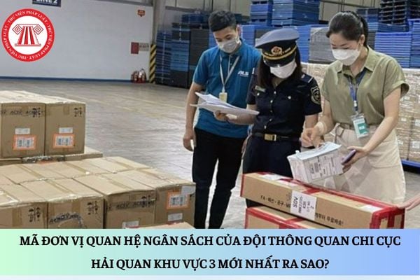 Pháp luật