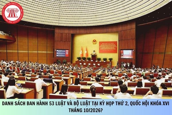 Pháp luật