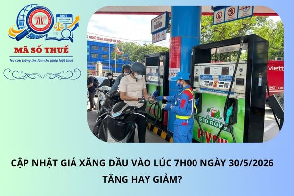Pháp luật