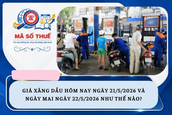 Pháp luật