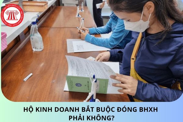 Pháp luật
