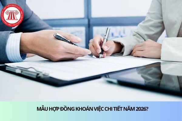 Pháp luật