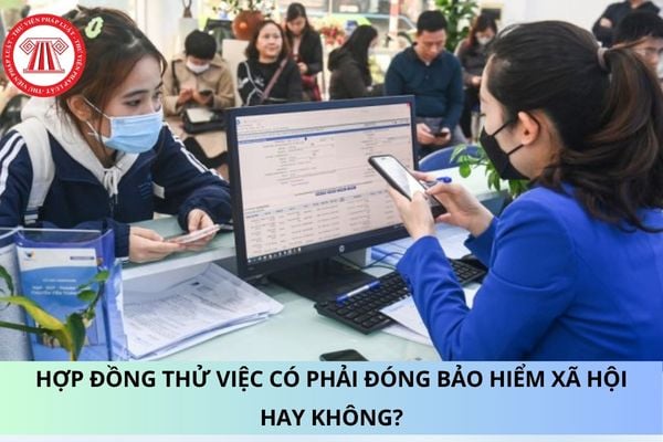 Hợp đồng thử việc có phải đóng bảo hiểm xã hội hay không?