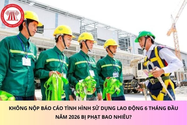 Pháp luật